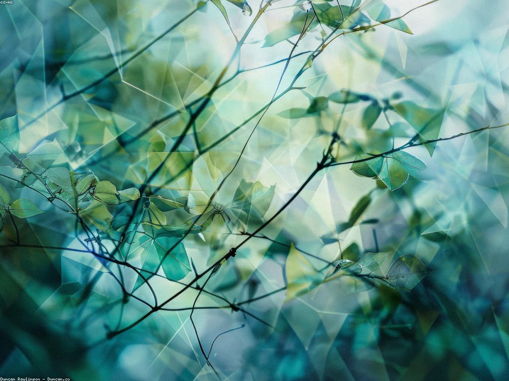 យល់ដឹងអំពីកម្រិតស្លុត