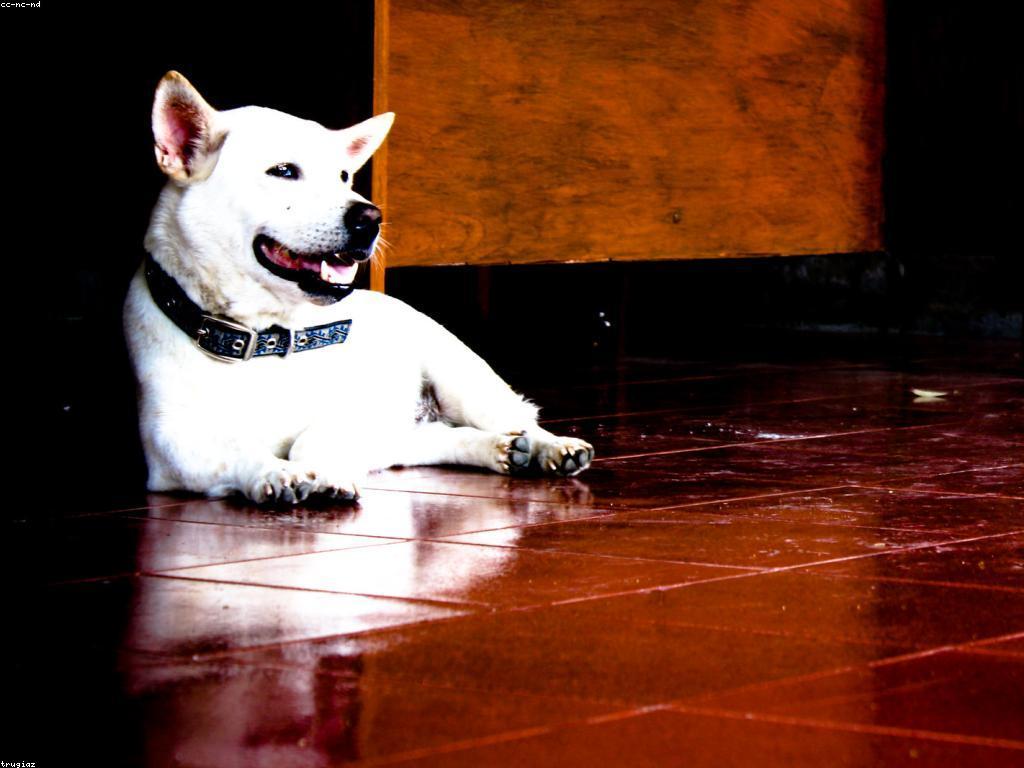 ការយល់ដឹងអំពីកម្រិតស្លុតនិងគន្លងសម្រាប់ការលែងចូល