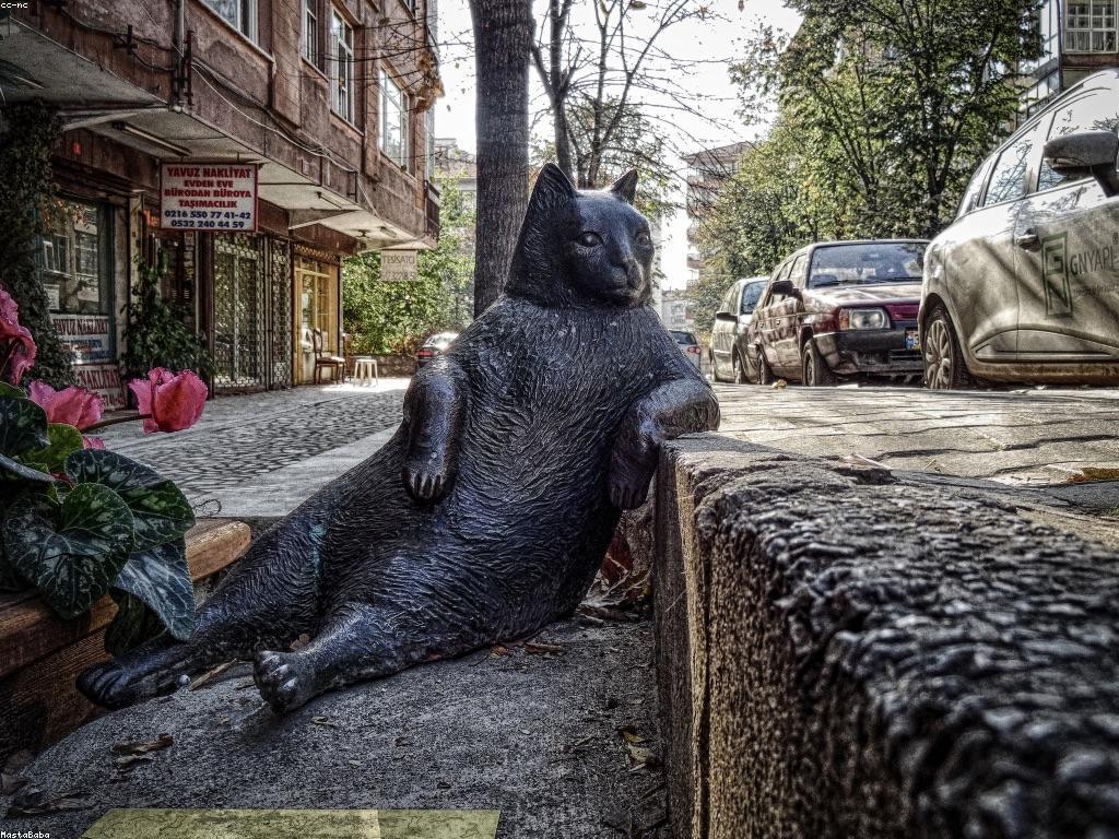 យល់ដឹងអំពីកម្រិតស្លុតនិងការវិវត្តន៍